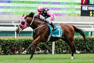 Two-time Hong Kong Horse of the Year Beauty Generation (NZ). 